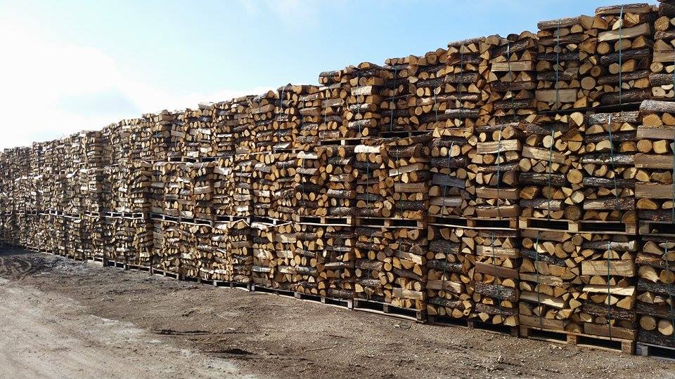 Brennholz und Paletten